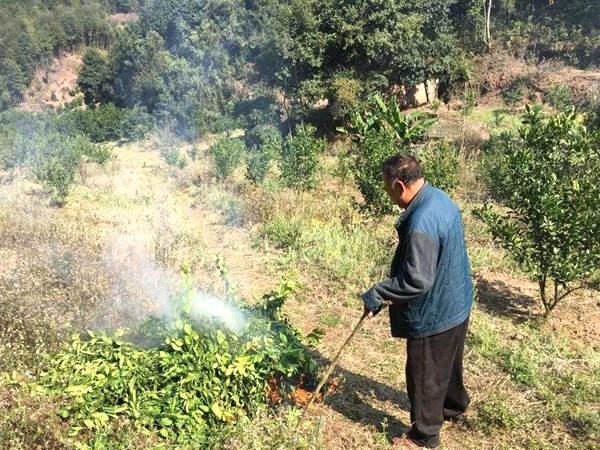 小型碎枝機(jī)廠家